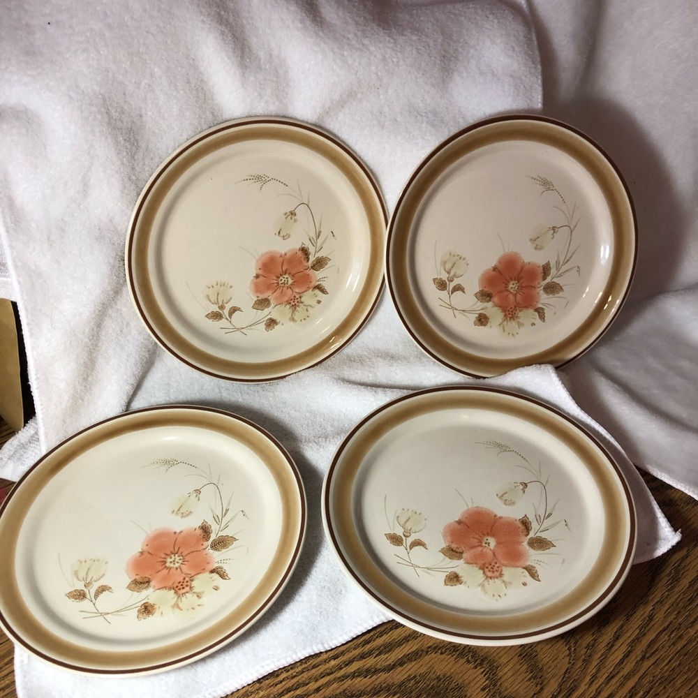 Water Colors Hearthside Blush stoneware salad plates - set of 4